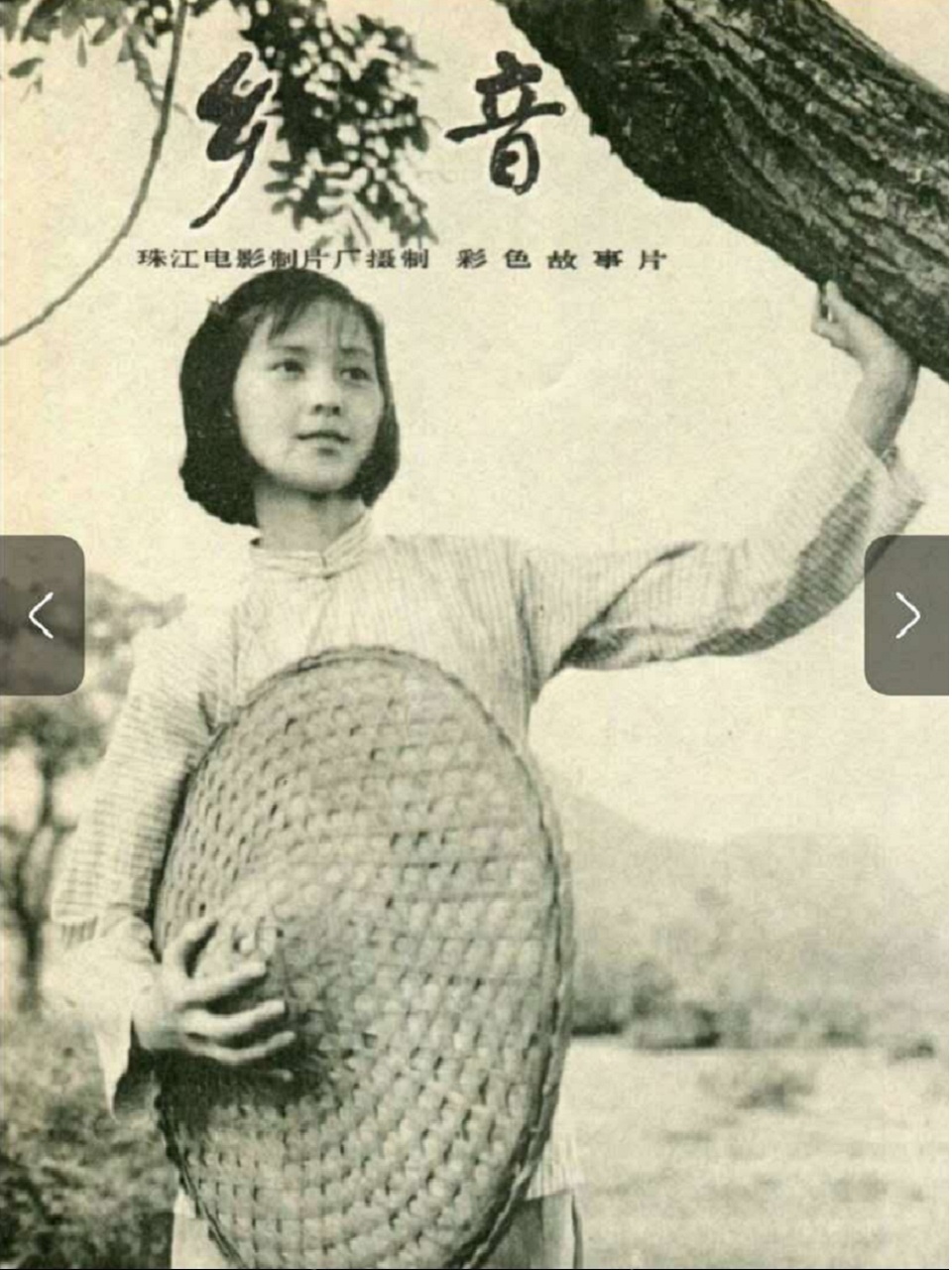 返回