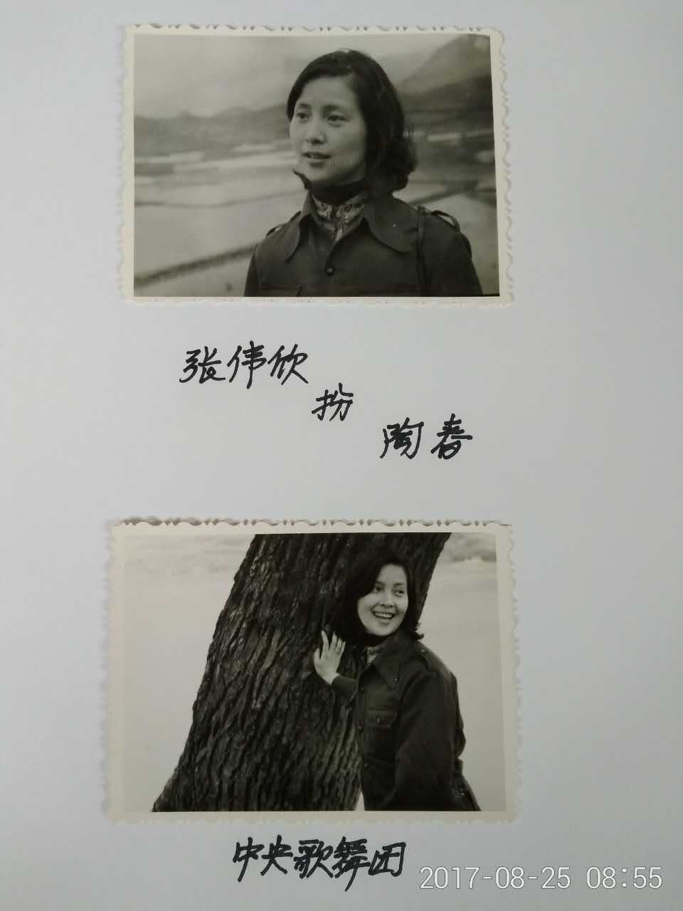 返回