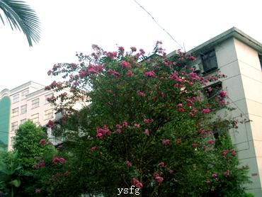 ��һҳ