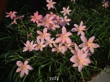��һҳ